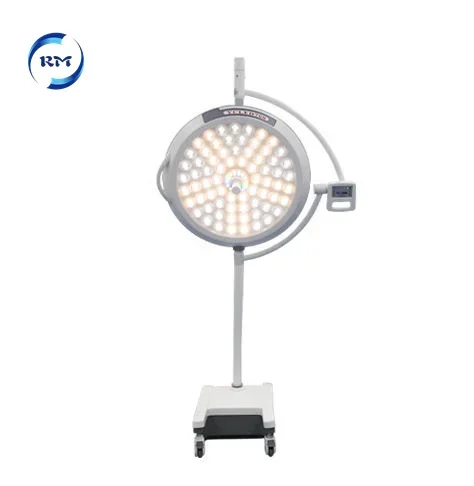 Ceiling 700/500 Shadowless Surgery  Wall-type Led Shadowless Examination Light Medical Lamp For Hospital Clinic Operating Room