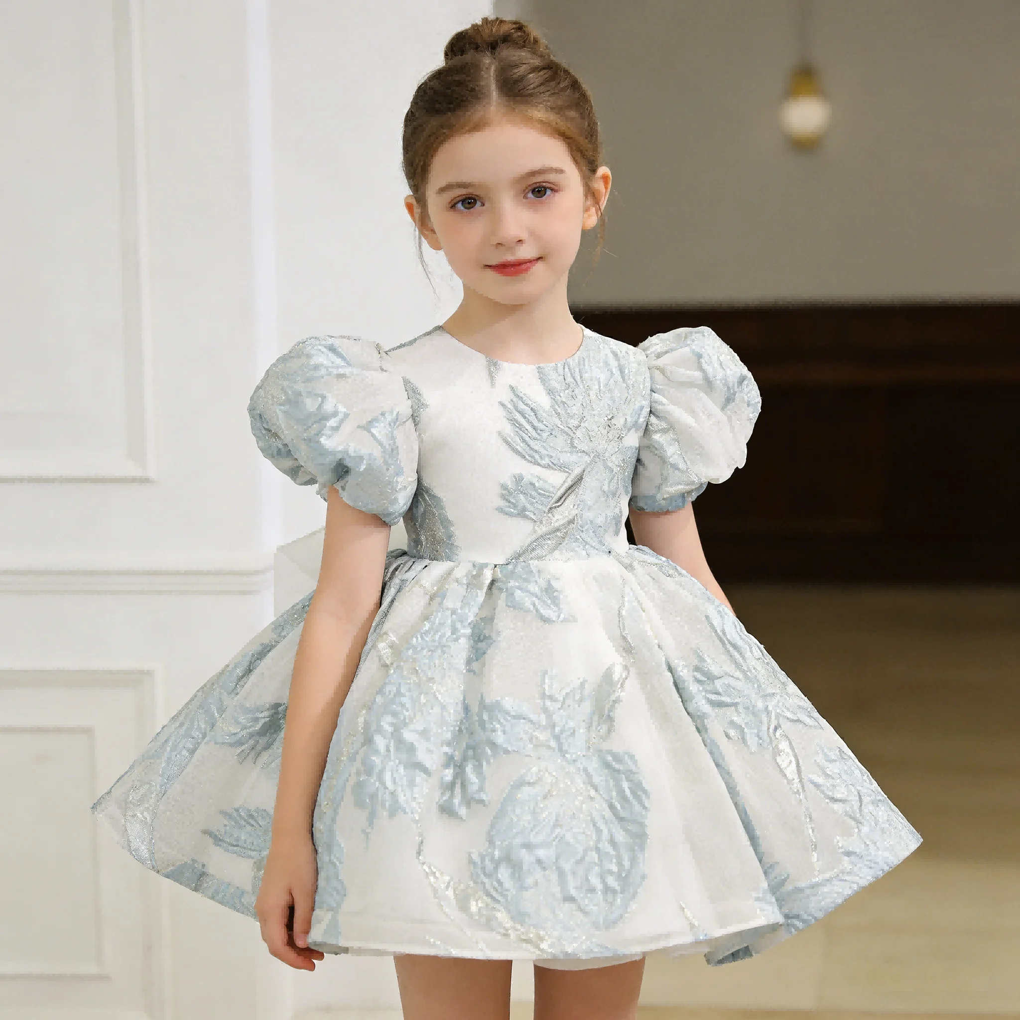 

Girls Birthday Princess Dress First Year Party Gown Kids Flower Girl Performance Host Formal Clothes Wedding Long Sleeve Piano