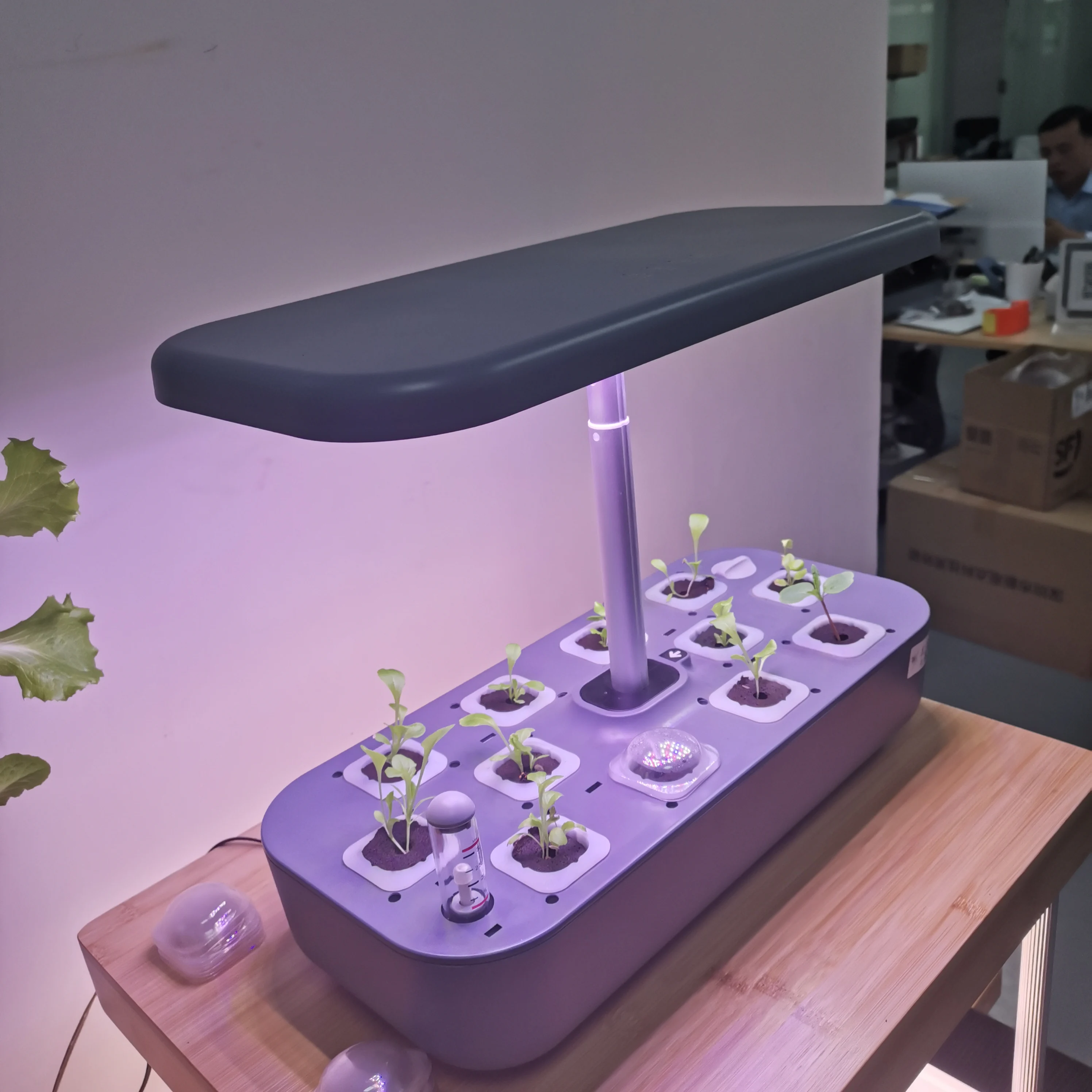 12 Pods Smart Hydroponic Grow  - Smart Pod Garden review and price