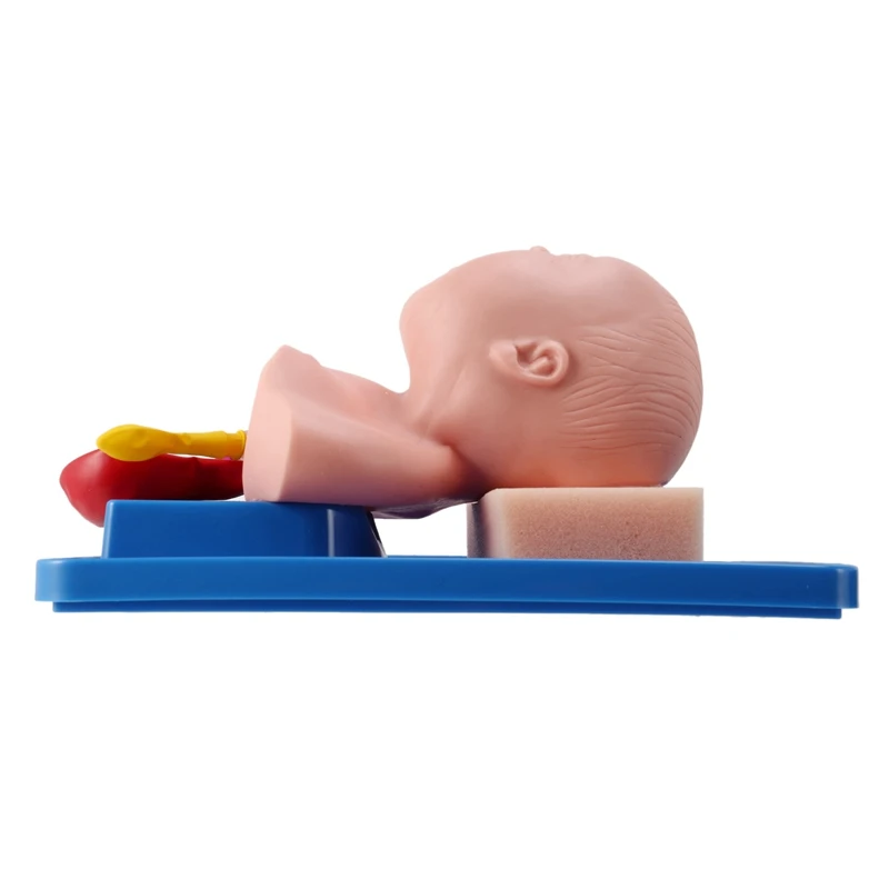 Neonatal Tracheal Intubation Model Analog Double Lung And Stomach Expansion Child Tracheal Intubation Training Model