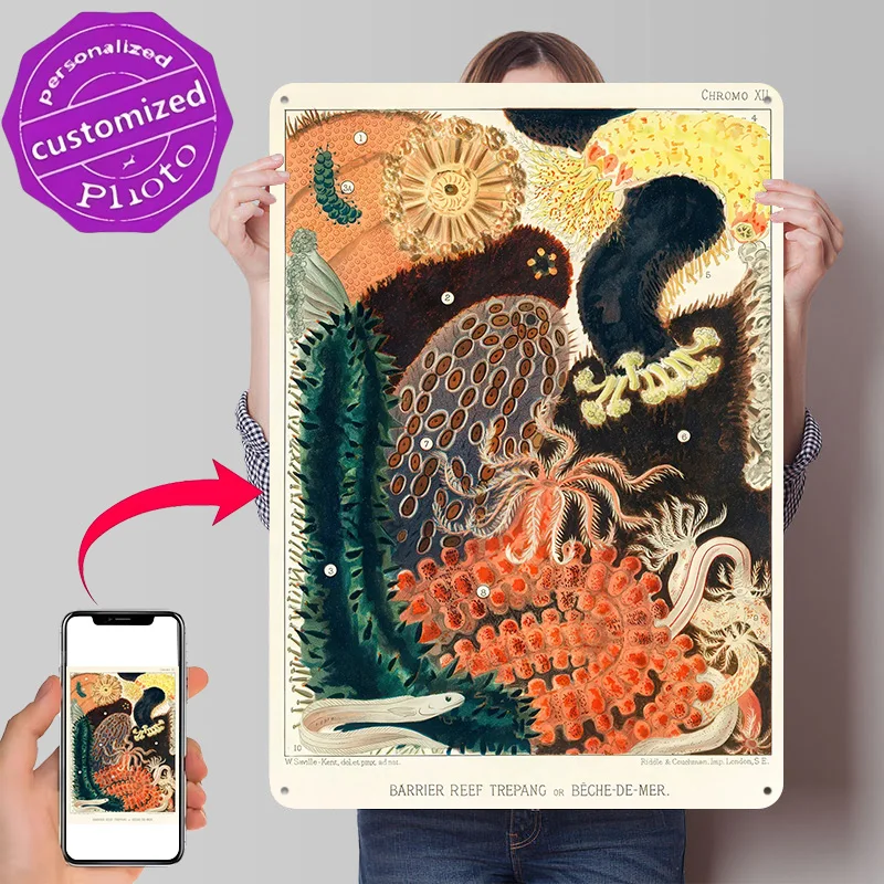 Barrier Reef Trepang Vintage Illustration Poster Retro 3D Printed Metal Signs Customized Wall Hanging Gift for Bar Accessories