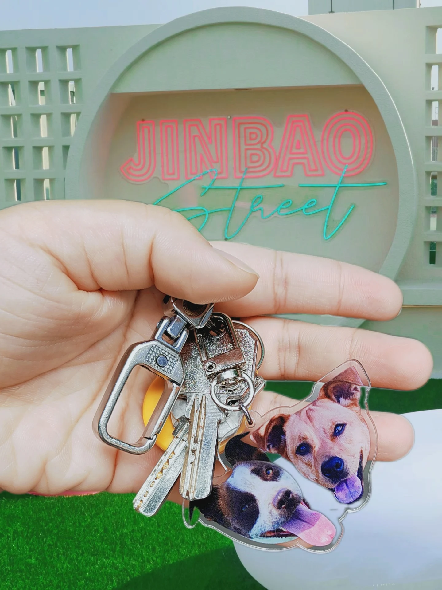 

Custom Acrylic Printing Dog and Cat Photo Keychain,Cute Personalized Design, Dog Mom ,Pet Memorial Gift,Christmas Gift, 30Pcs