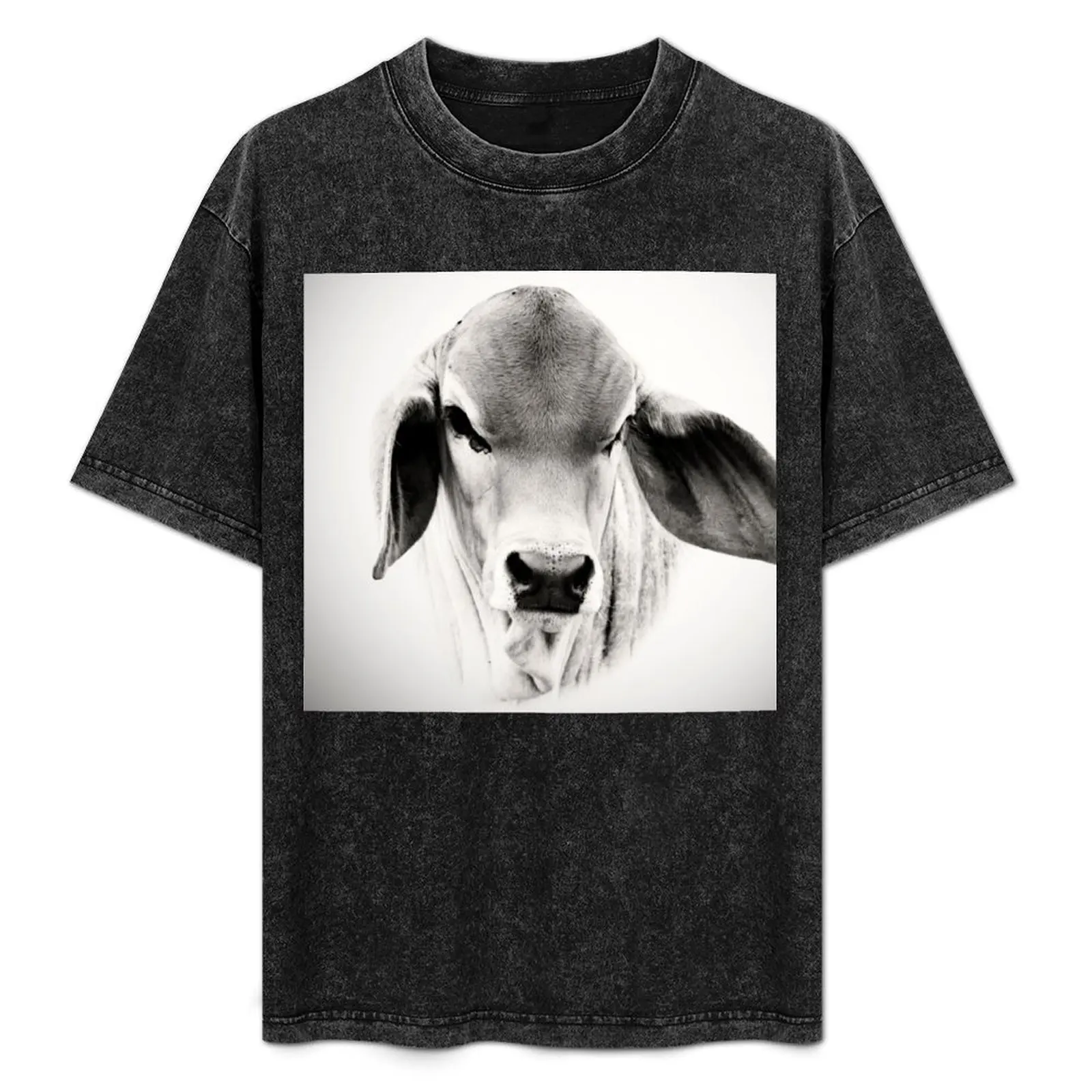 

BRAHMAN CALF, PORTRAIT, WALL ART T-Shirt Halloween Casual T-Shirt