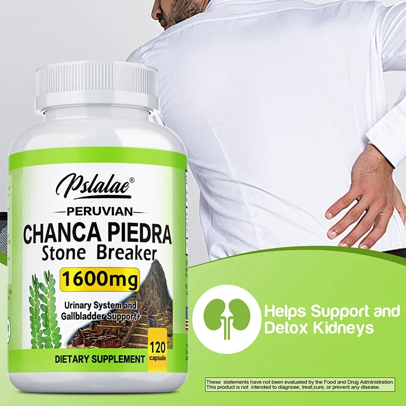 شانكا بيدرا - يدعم صحة الكلى، ويساعد على إزالة السموم وتنظيفها وتحسين الكلى