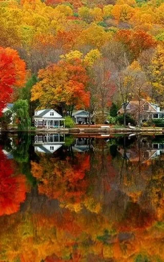 

For Cadillac XT5 2016-2024 Black Under Engine Guard Plate Splash Shield Mud Fender Cover Mudguard Protector