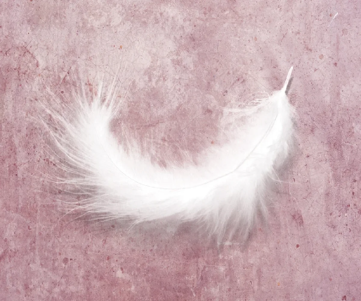 Custom size wallpaper peacock feather decorative painting Home decor Living room bedroom feather background walls 3d wallpaper