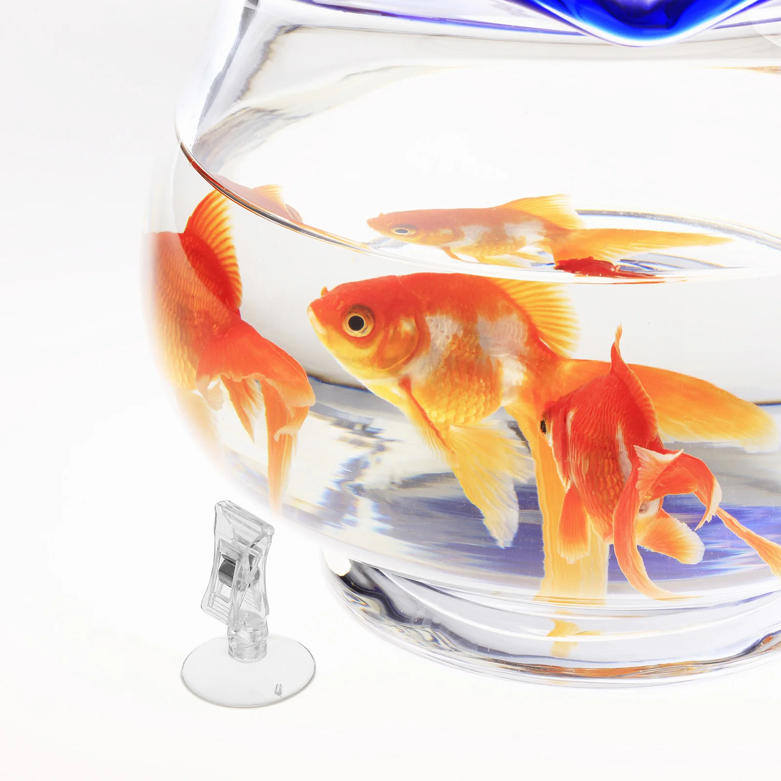 

5pcs Fodder Clamps Fish Tank Clip Seaweed Feed Holder Adjustable Feeding Tool Glass Sucker Dry Clean Accessories Aquarium Pet