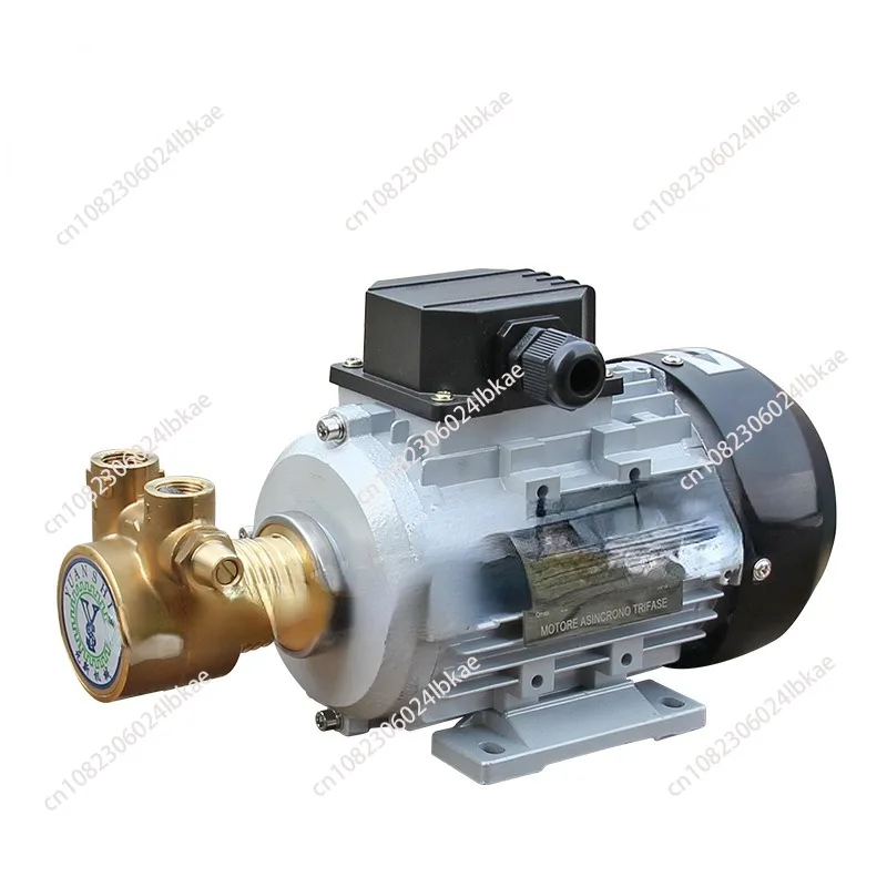 Double Medium Hot Water Oil Circulation YS-25A Inlet Stainless Steel Horizontal Gear Type Peripheral Pump