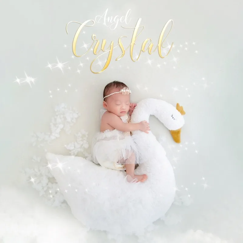 Newborn Photography Prop Swan Lace Outfit Set for Baby Photo Shoot 100 Days Studio Session - view 2