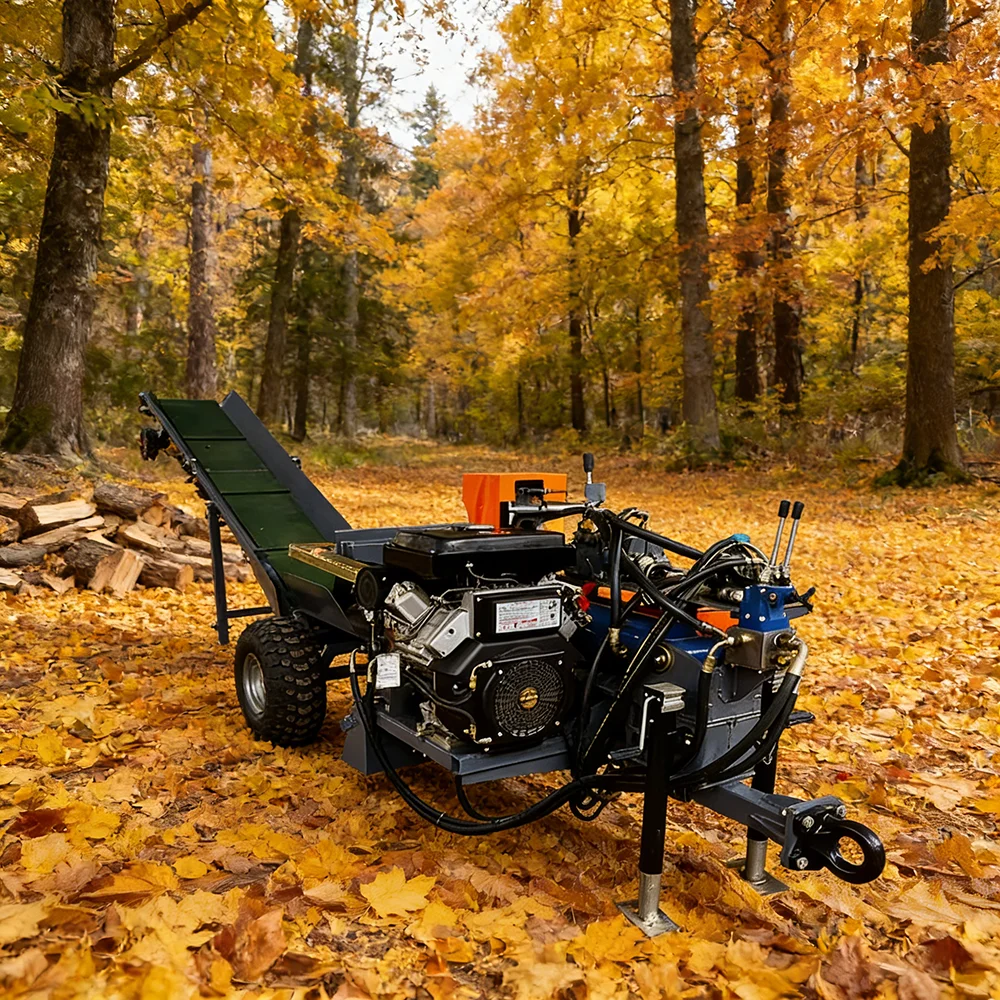 Professional Gas Powered Log Splitter 9HP Engine 22 Ton Hydraulic for Firewood Processing