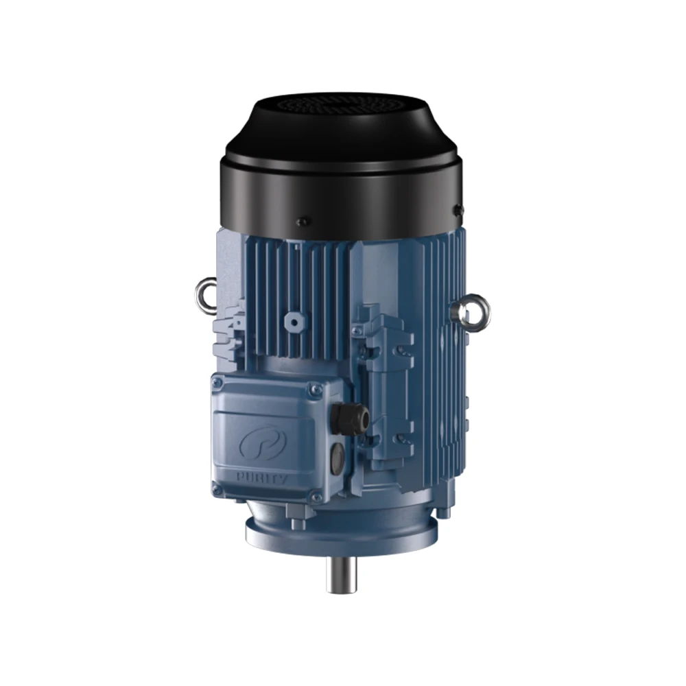 

Purity 3 Phase,22kw 30hp Asynchronous Electric Motor For Conveyor Belt