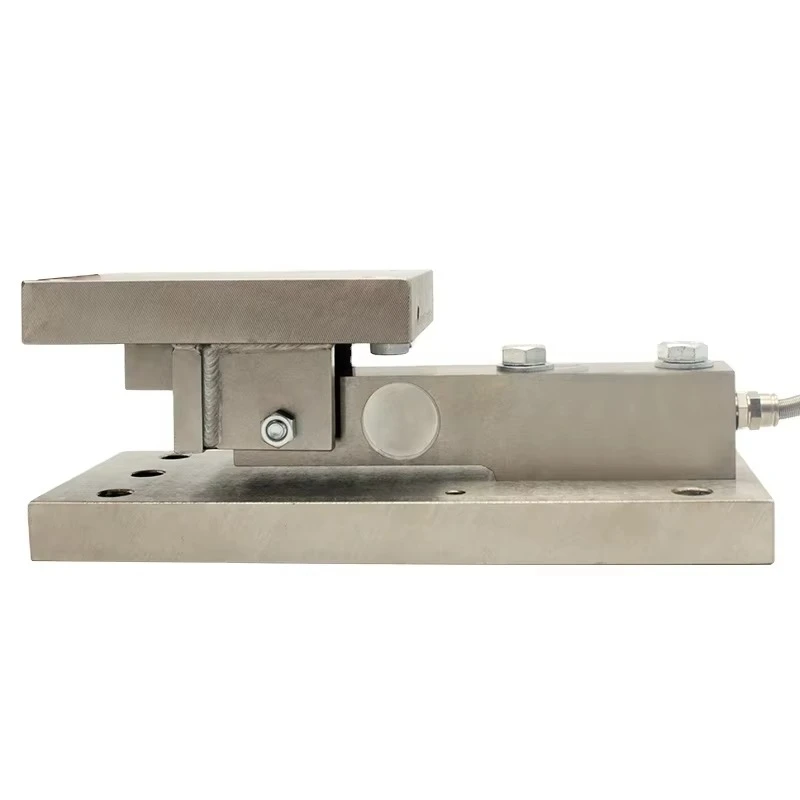 Dynamic Load Self-Stabilizing Conveying Track Scale Billet Scale Hybrid Cantilever Module Ground Scale Weighing Sensor Module