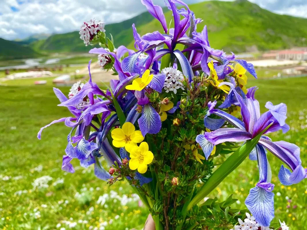 

Digital Instrument Gauge Cluster Dashboard Panel For BMW Mini Cooper R56 R55 R57 F55 F56 F57 F58 Speedometer Virtual Cockpit ODO