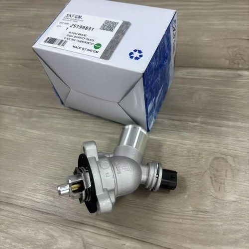 Termostato De Refrigeración Del Motor Original 25199831