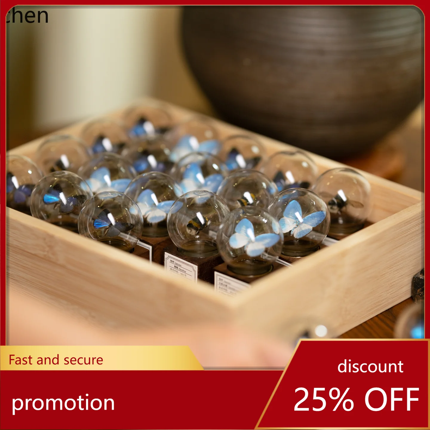 CZ Mini Walnut Wood Butterfly Glass Dome Handmade Desktop Ornament Holiday Gift