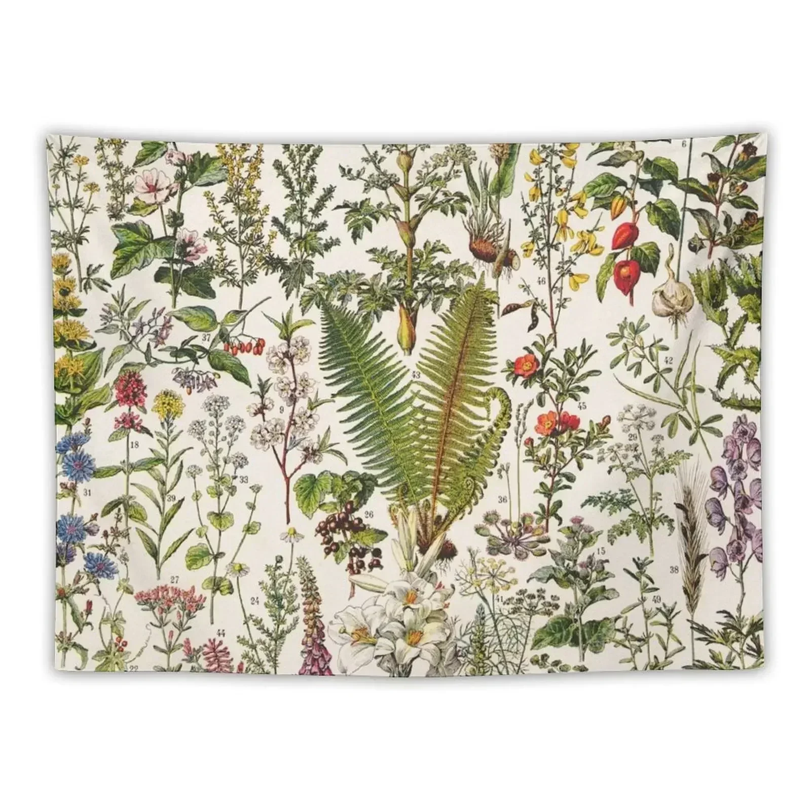 

Adolphe Millot - Plantes Medicinales B - French vintage poster Tapestry Wall Art Art Mural Tapestry