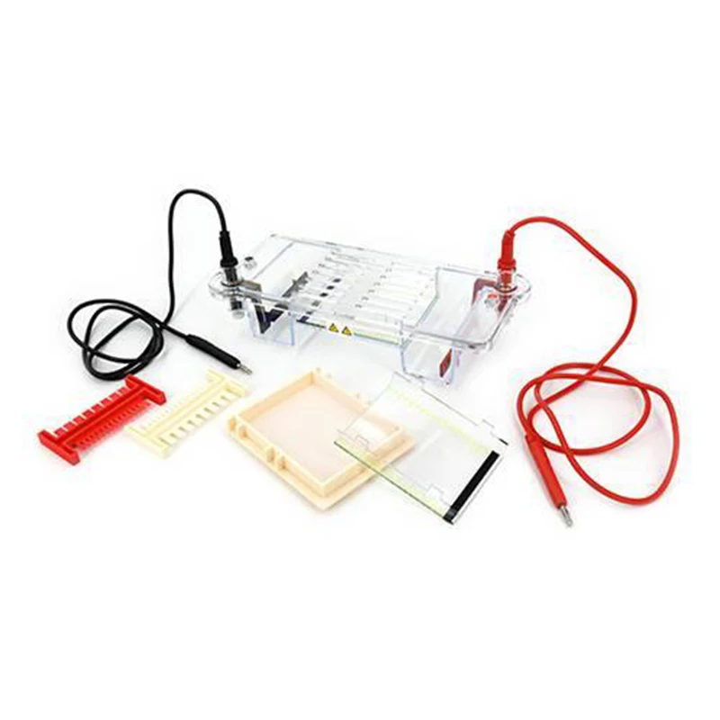 Agarose Horizontal Electrophoresis Instrument Is Suitable for Separating, Preparing DNA, and Determining Molecular Weight