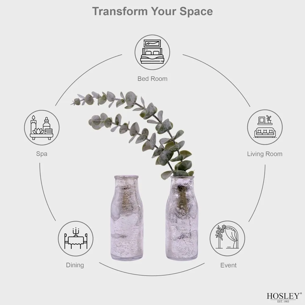 طقم مكون من قطعتين، زجاجات زجاجية فضية، بطول 5.5 بوصة، مزهريات مزخرفة.