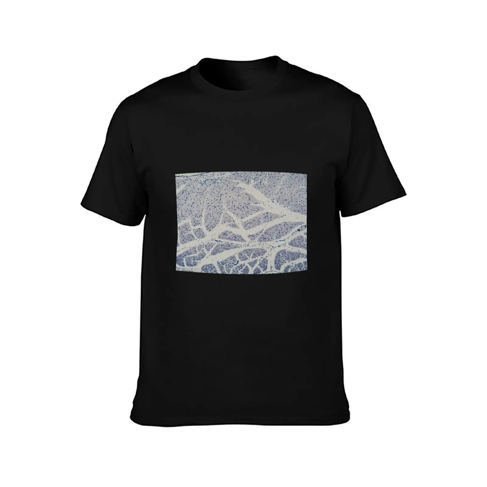 Human skeletal muscle cells under the microscope T-Shirt Plus Size Comfort Fit Tee T-Shirt