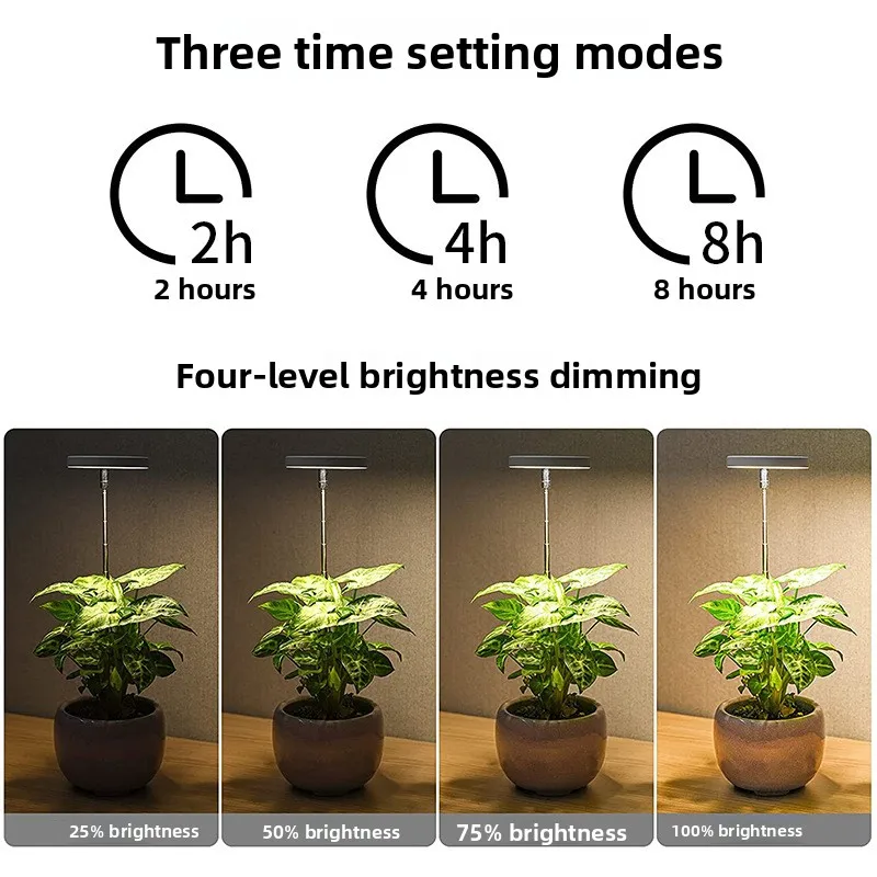 2026 USB Full Spectrum LED Plant Grow Light Timing Dimmable Telescopic Stand For Succulents Flowers Indoor Lamp