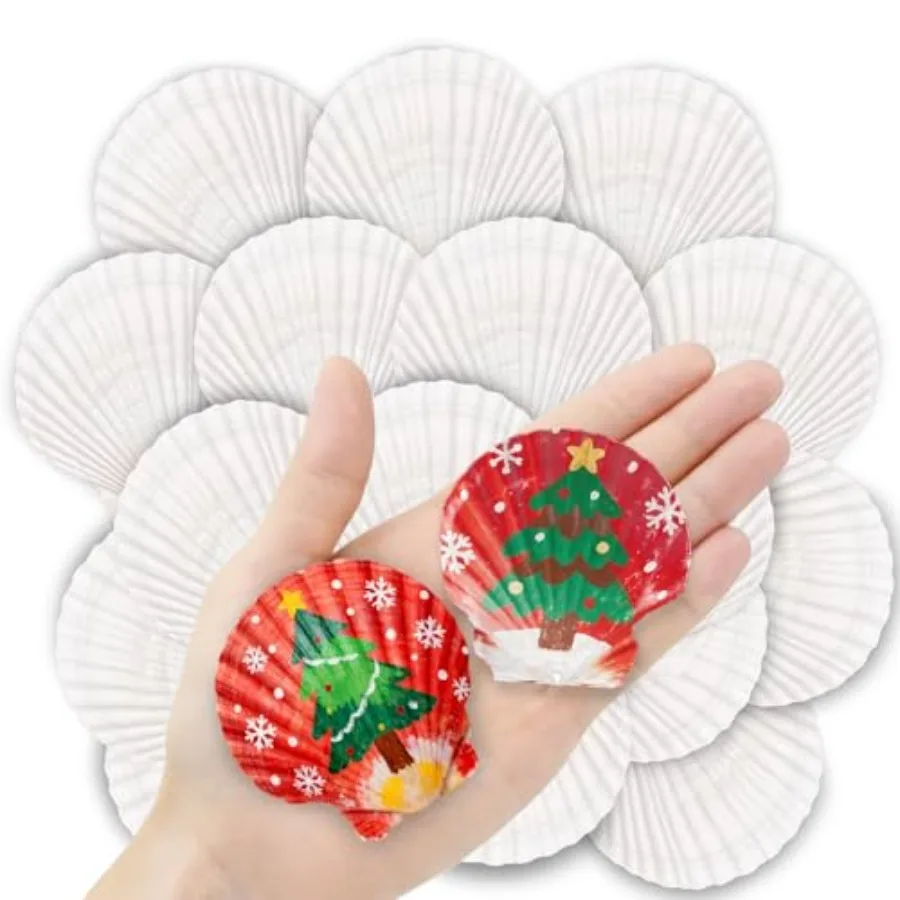 

36PCS tural Scallop Shells for Crafts 2-3 Ih White Sea Shells for Decorating Genuine Beach Seashells for Craft Making Painting