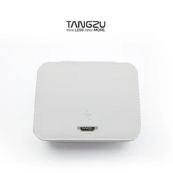 TANGZU HIFI white earphone bag MAX
