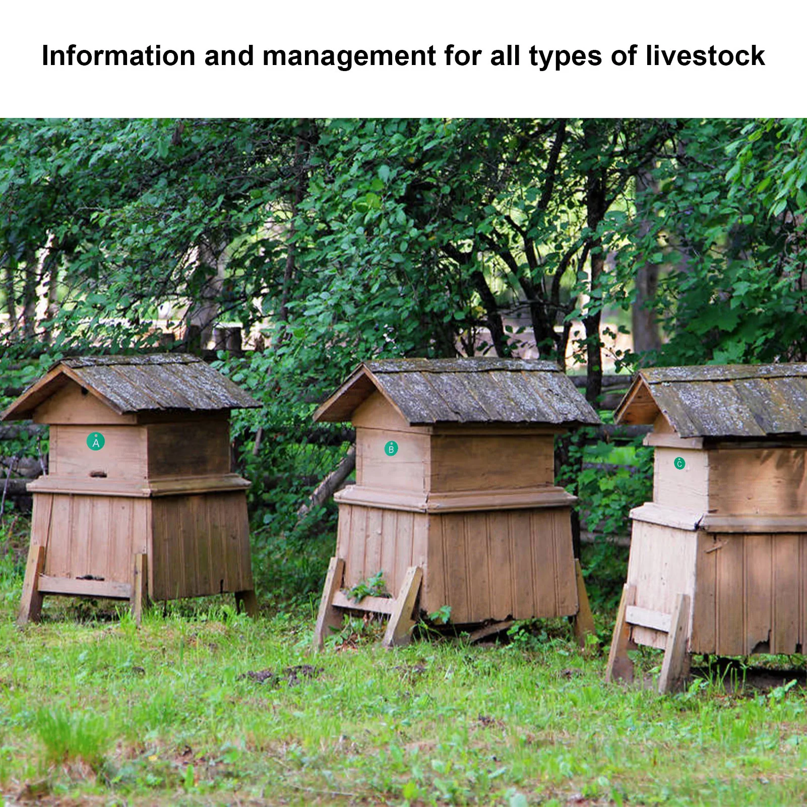 26PCS Beehive Numbered Tag Marker mit Loch Runde Beehive Label Beekeeping Zubehör für Garten