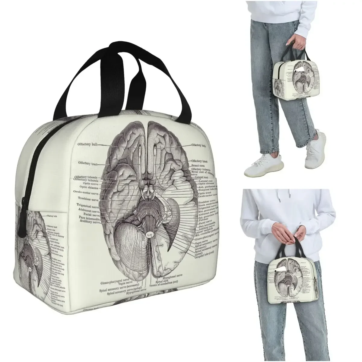 Brain Nervous System Diagram - Vintage Anatomy Insulated Lunch Bag for Women Children Food Boxes Thermal Lunch Box Tote