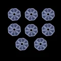 8pcs