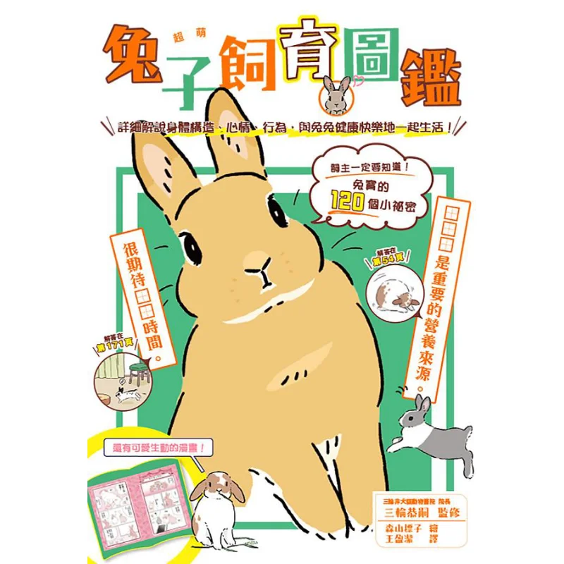 

Super Cute Rabbit Breeding Guide Detailed Explanations Of Body Structure Mood And Behavior Living Healthily And Happily With Rab