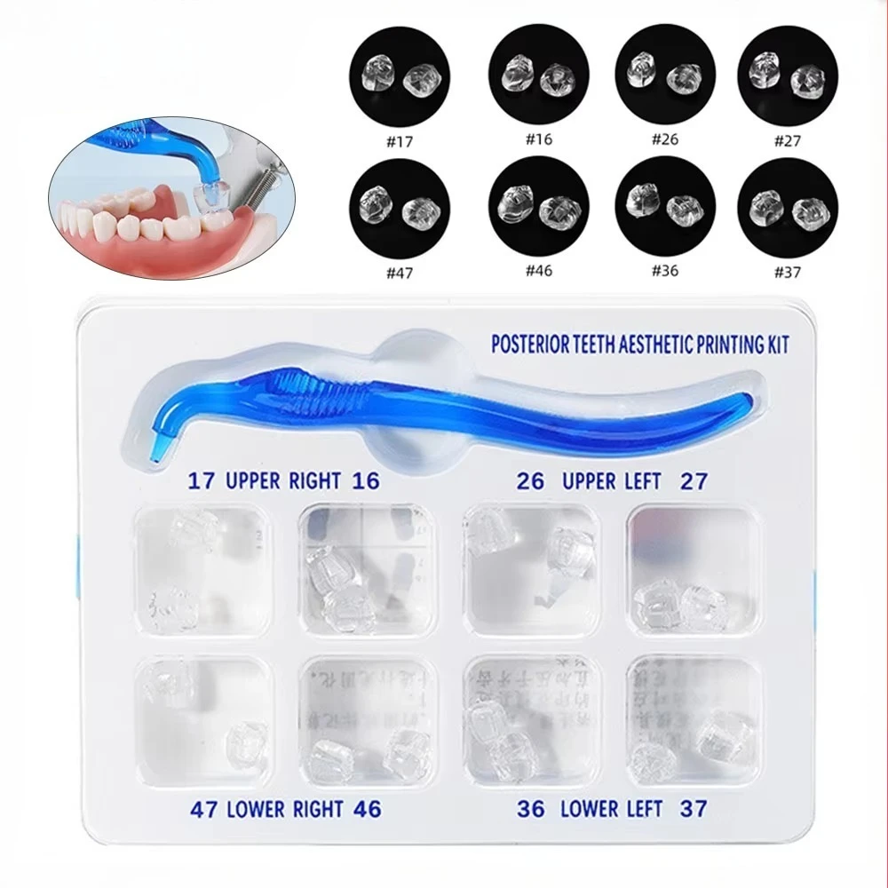 16 Teeth Posterior Dental Aesthetic Veneer Mould Kit Light Cure Resin Printing Mould Restoration Tool Clinical Grade