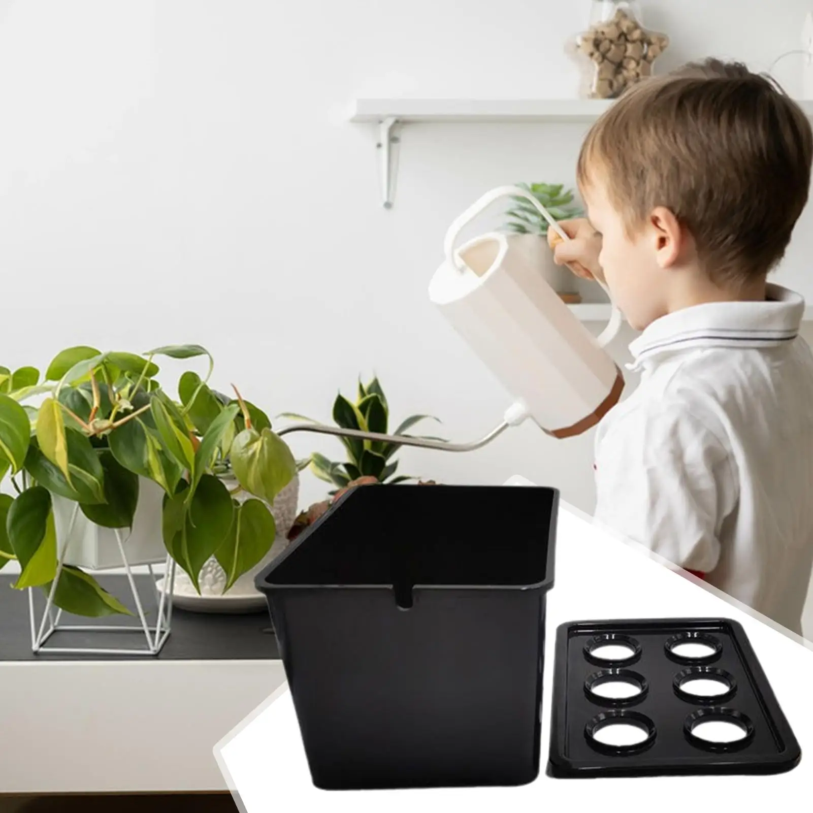 نظام الزراعة المائية 6 فتحات نظام زراعة الخضروات صندوق زراعة للخضروات والزهور والفواكه والحديقة الداخلية والخارجية #3