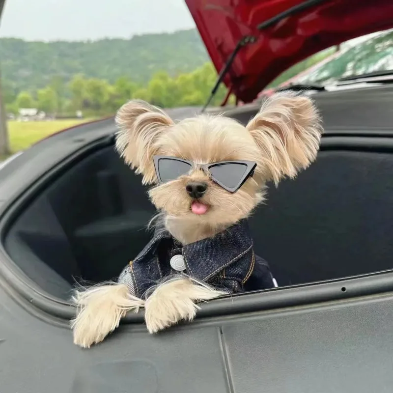 Fashion Ins Pet Cowboy Pet Embroidery Coat  Winter Clothes Strap Jackets Puppy Clothing for Small Dogs Designer Dog Clothes