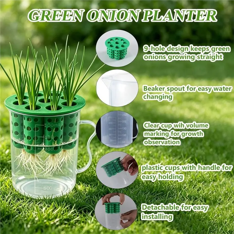 PHFU-Green Onion Planter Scallion Regrower Sprouting For Window