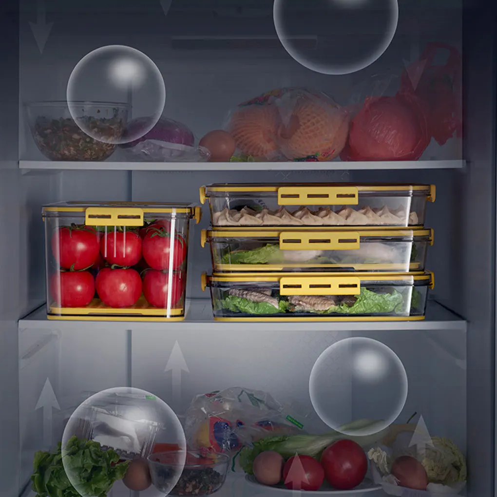 PET 다목적 과일 식품 계란 보관 상자 안전 빵 홀더 상자 빵 상자 편리한 보관 회색