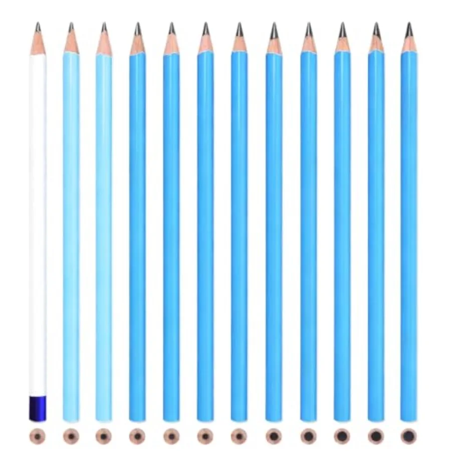 12 Graphite Pencils Professional Drawing Set, Art Supplies for Sketching Shading Blending, Gifts for Artists Adults Beginners