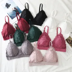Lace Triangle Bralette Women