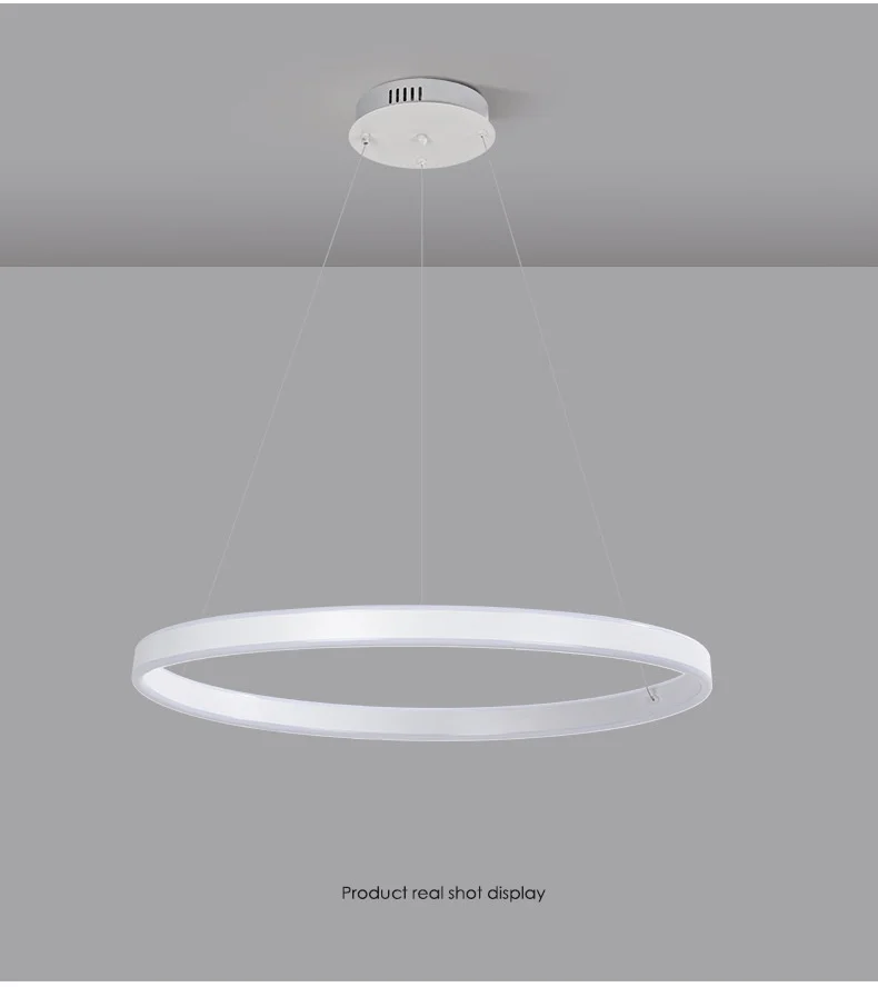 Minimalism Circle LED Ceiling Chandelier