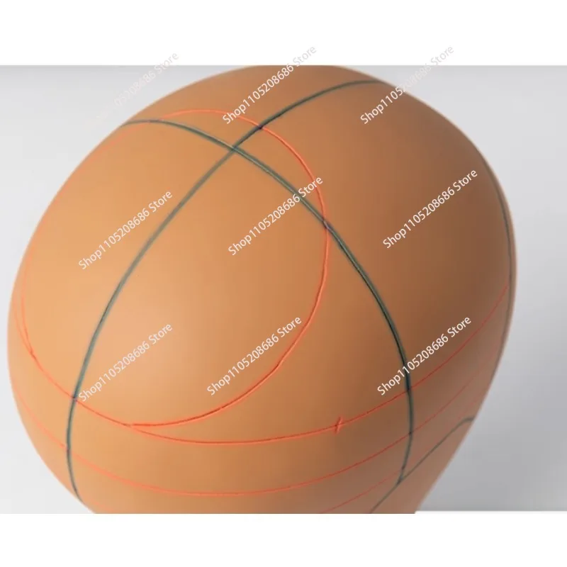 

21, 22, 23-дюймовая голова манекена, пробковый холст, манекен, парик, дисплей