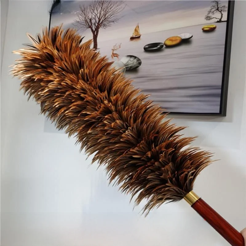 Household Chien Fea…