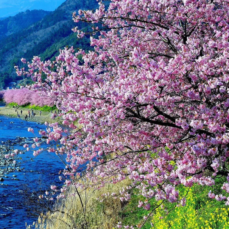 

AXISFLYING CINEON C20 / C20 V2 Drone Frame KIT Support O3 Air Unit Anti-shake For RC FPV Drone 2 Inch Indoor Cinewhoop