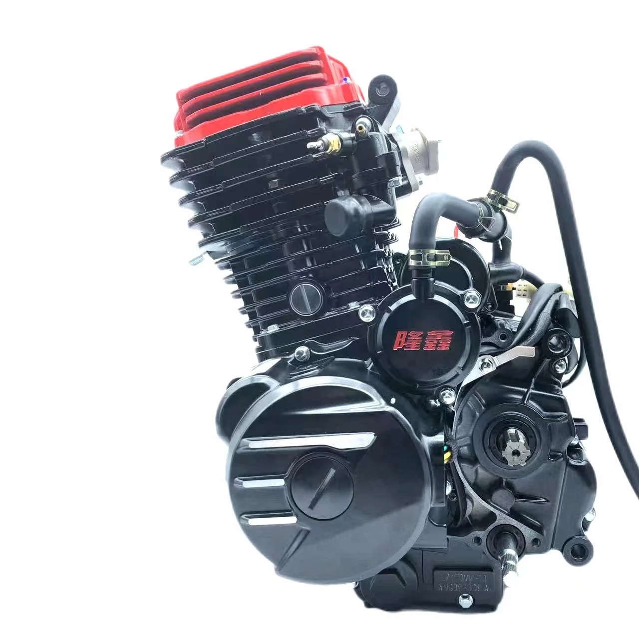 tricycles engine water cooled High torque 300cc LX174MN Support customization Suitable for heavy loads