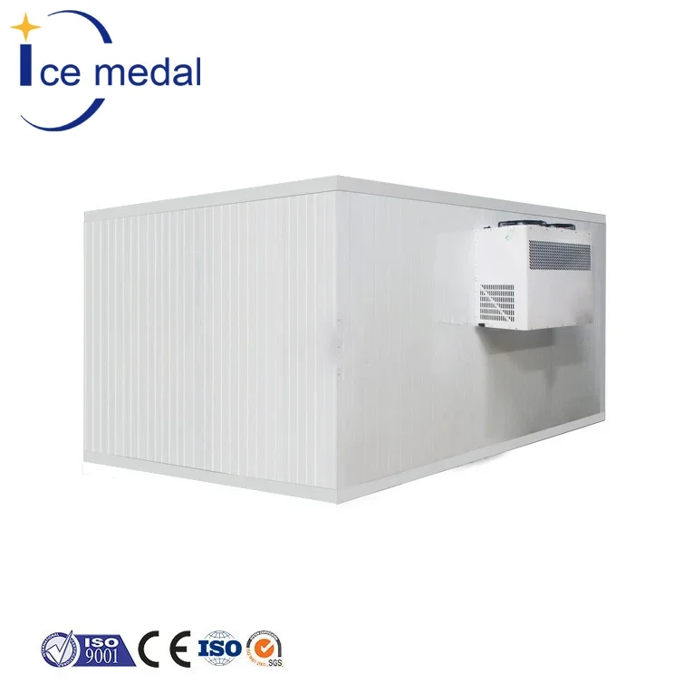 Easy to install cold store freezer room cold storage for food storage