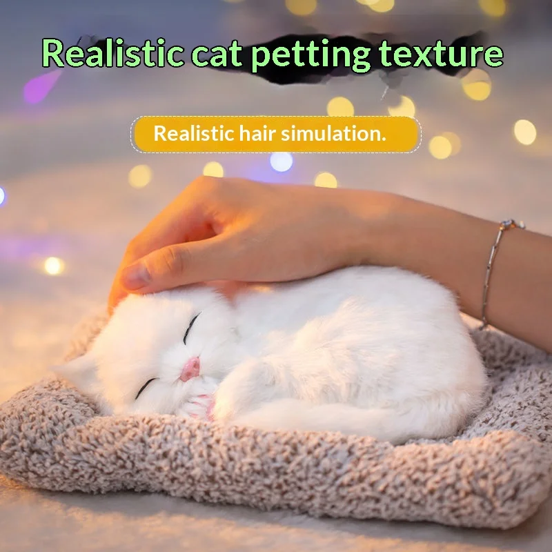 Touch Activated Meowing Plush Cat Toy With Customizable Tag Birthday Valentines Day Gift For Girlfriend Best Friend Teen Girl