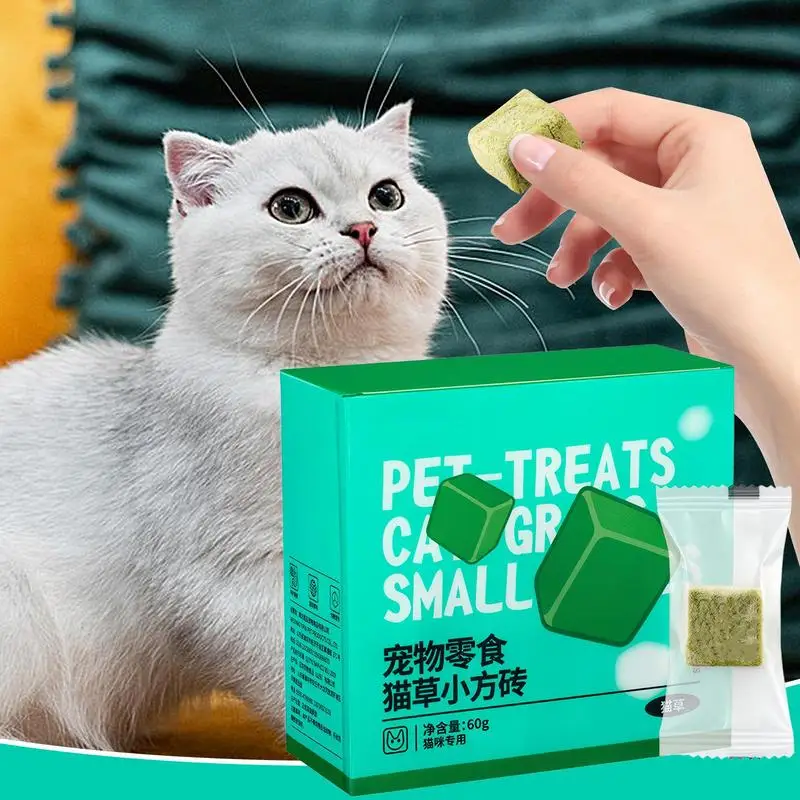 Natural Cat Grass Food 60g Freeze Dried Pet Teething Natural Grass Snack For Cat Catnip Kitten Teeth Care Edible Food Toys For