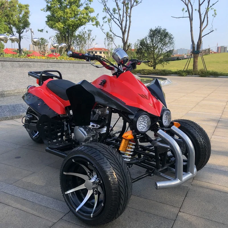 3 Wheel Adult Motorcycle Multi-Function ATV 250cc Manual Chain Drive 4-Stroke 2WD Disc Brakes CE Certified