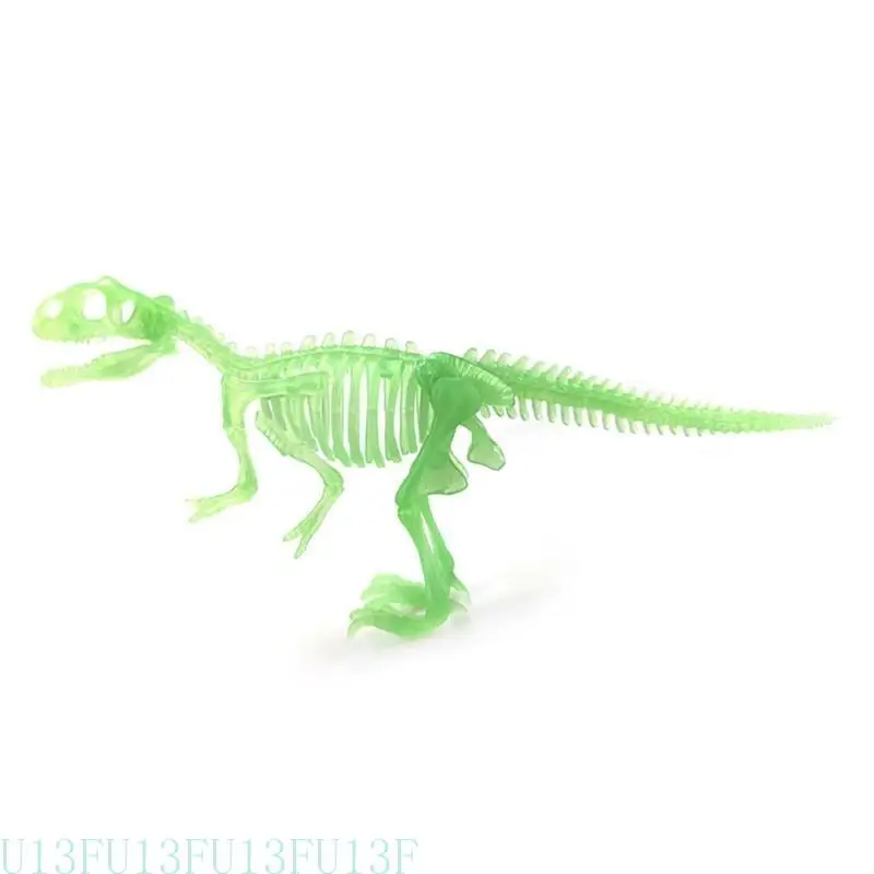 U13F عظام نموذج الديناصورات الحية عظام ما قبل التاريخ دينو الهيكل العظمي تمثال حديقة الحيوان المتاجر تزويد مصغرة تمثال الفصول