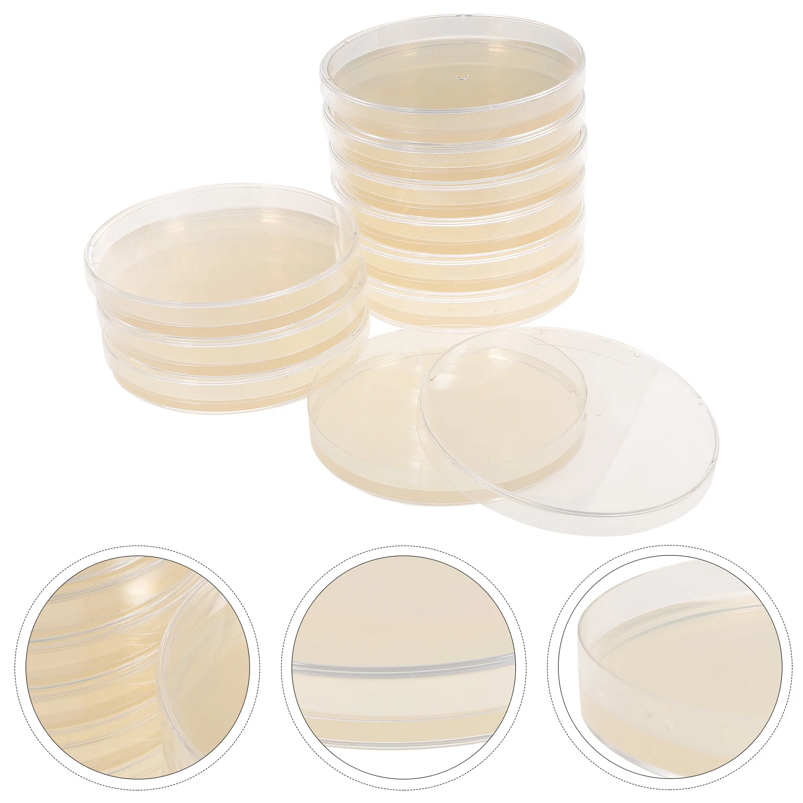 

10 Pcs Nutrient Agar Plate Test Petri Dish Dishes for Cell Culture Science Experiment Material Package