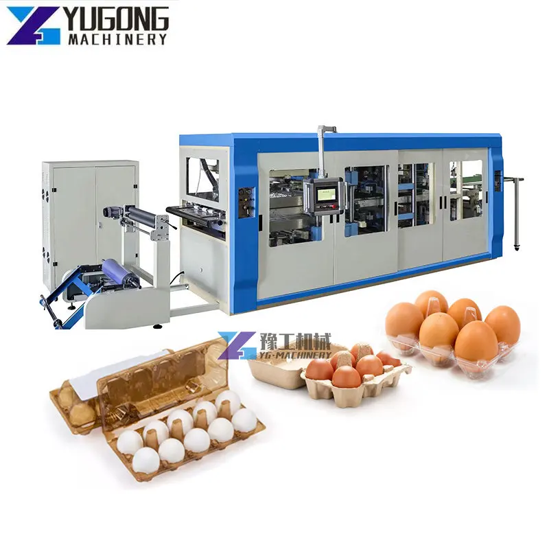 Automatic Abs Plastic Sheet for Vacuum Forming Machine Biodegradable Desktop Plastic Blister Lunch Box Vacuum Forming Machine