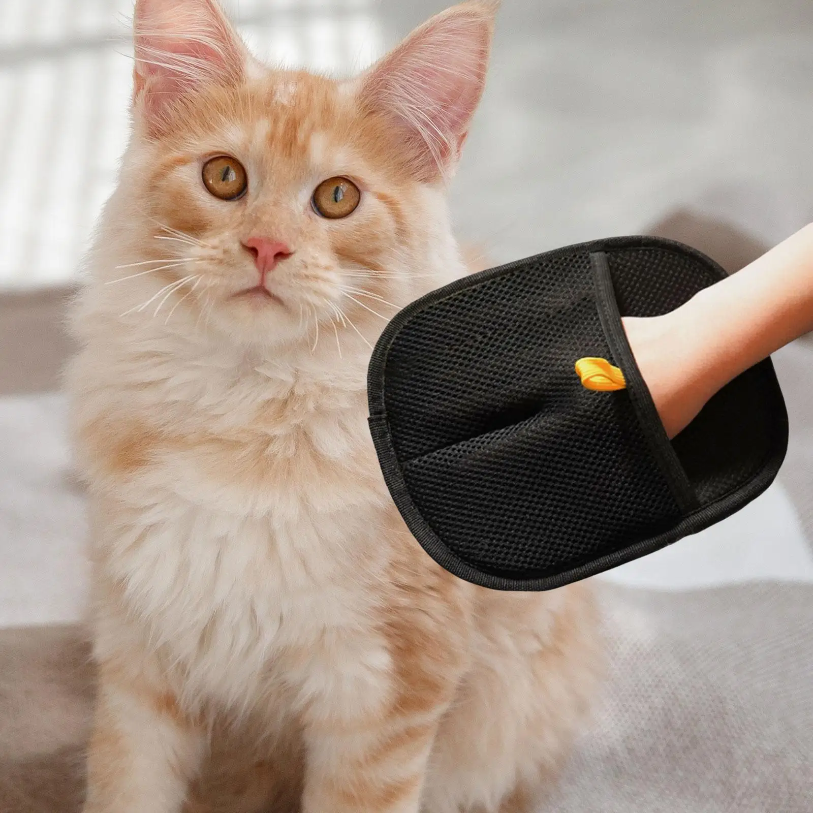 

Pet Hair Removal Glove Efficient Grooming Glove for Bunny Sofa Furniture